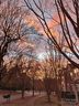 9336 Greenheather Drive sold home in Huntersville, SC