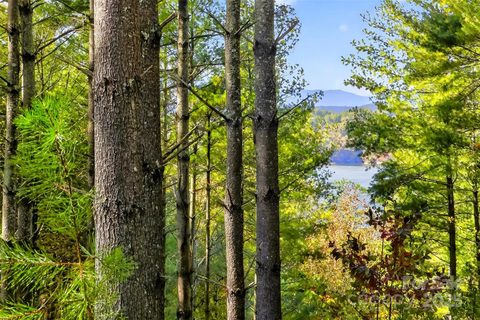 0 West Point Drive active home in The Peninsula At Lake James, Nebo, NC