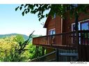 29 Clubb Mountain sold home in Swannanoa, SC