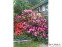 217 Short Michigan Avenue sold home in Asheville, SC