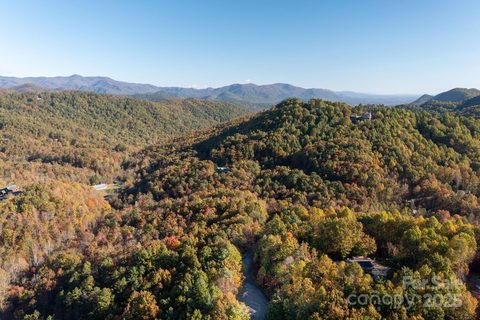 9 Wapama Falls Drive active home in Catawba Falls Preserve, Black Mountain, NC