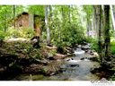 236 Laurel Branch Road sold home in Maggie Valley, SC