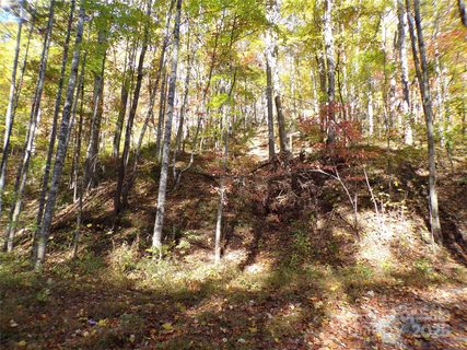 0 High Windy Drive sold home in Grey Rock At Lake Lure, Lake Lure, NC