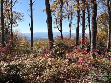 Lot 64 Feather Stone Drive active home in Couch Mountain, Fletcher, NC