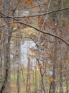 Homes in Carolina Mountains, Lake Lure
