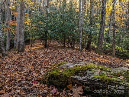 241 Skye Drive active lot in Glen Cannon, Pisgah Forest, NC