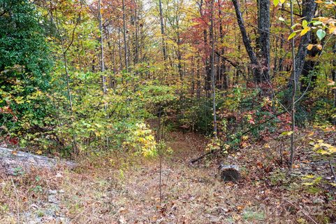 4b Lower Flat Creek Road active home in Idylwild, Black Mountain, NC