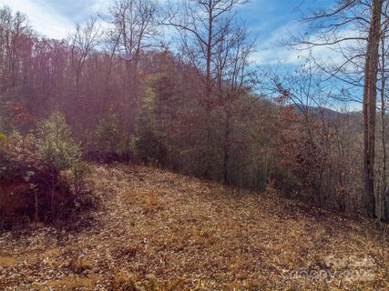 Homes in Garnet Ridge Preserve, Sylva