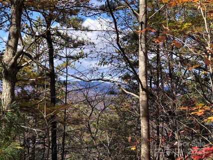 Tbd Buck Mountain Road active home in Buck Mountain, Purlear, NC