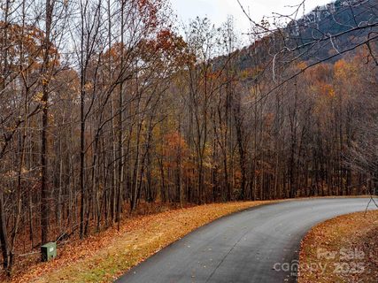 Lot 2110 Harm Creek Loop active home in Brights Creek, Mill Spring, NC