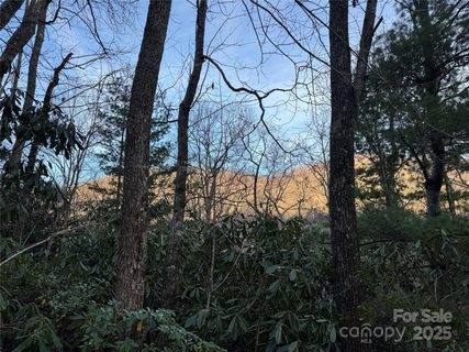 99999 Shenandoah Terrace sold home in The Rainbow, Montreat, NC