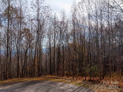 242 Nottingham Drive active home in Brights Creek, Mill Spring, NC