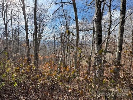 50 Scenic Wolf Ridge Road