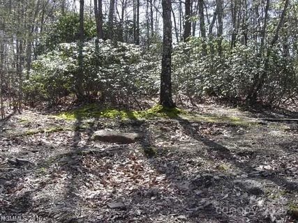 91 Old Forge Drive active lot in The Summit, Bostic, NC