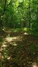 1111 E Clubhouse Road sold home in Sylva, SC