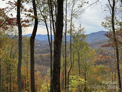 223 Flying Dutchman Road active lot in Balsam Mountain Preserve, Sylva, NC