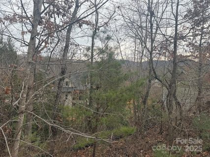 51 Versailles Lane sold lot in Thoms Estate, Asheville, NC