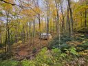 25 Hollow Log Road sold home in Burnsville, SC
