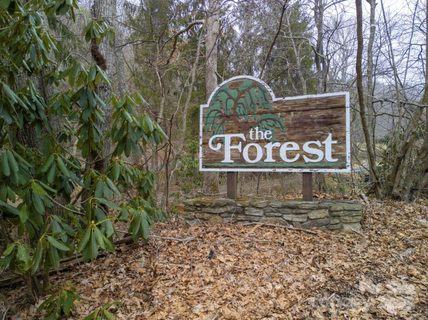 A home in The Forest