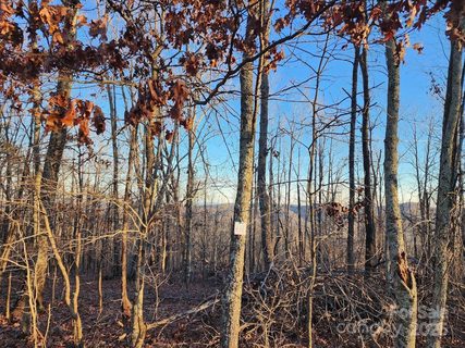 69 Adirondack Lane active lot in The Summit, Bostic, NC