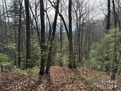 Tbd Buck Mountain Road active home in Buck Mountain, Purlear, NC
