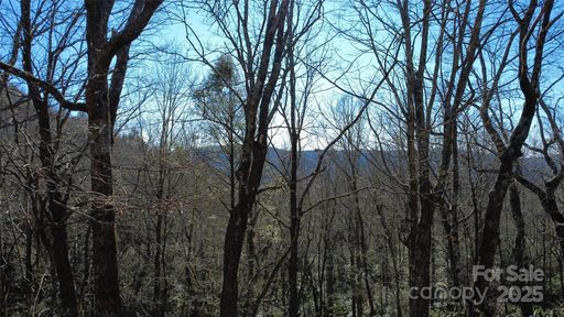 Lot 26 Big Branch Road active lot in Big Hill, Brevard, NC