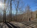 22 23 28 Brer Rabbit Trail sold home in Waynesville, SC