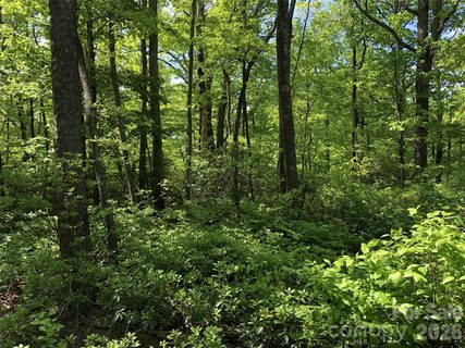 00 Millard Crossing active home in Lace Falls, Hendersonville, NC