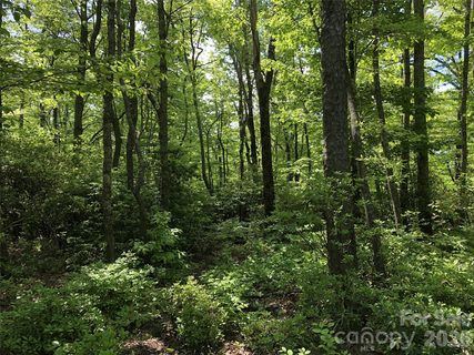 000 Millard Crossing active home in Lace Falls, Hendersonville, NC