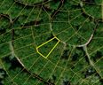111 Rhododendron Drive sold home in Beech Mountain, SC