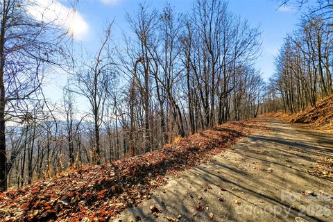 100 Wolf Pen Road active land listing in Gateway Mountain, Old Fort, NC