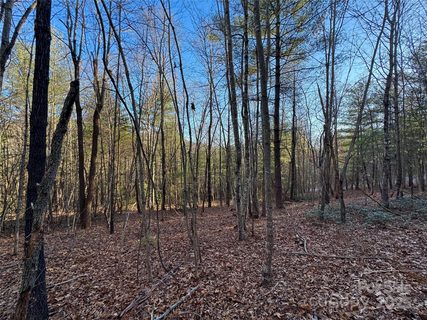0000 Pebble Stone Trail sold home in Silverglen, Hendersonville, NC