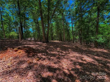 1560 Rocky Cove Lane