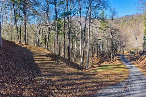 15 Beech Tree Lane active lot in Beaverdam, Asheville, NC