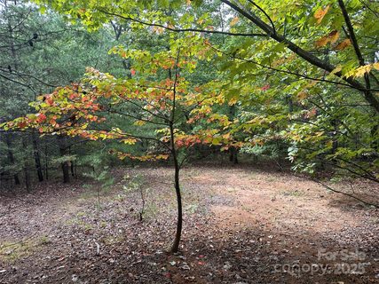 333 Mossy Oak Trail