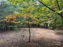 333 Mossy Oak Trail sold home in Nebo, SC