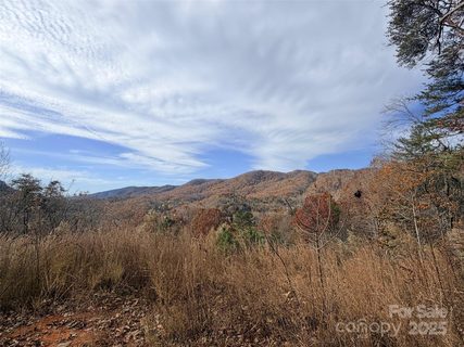 148 Rocky Mountain Drive sold lot in Cedar Creek Mountain, Lake Lure, NC