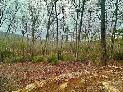 000 Orchard View Trail active home in Highland Falls, Spruce Pine, NC