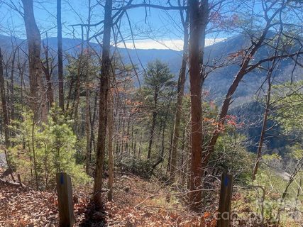 Homes in Blue Ridge Vistas, Canton