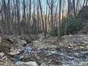 Tbd Thrush Drive sold home in Maggie Valley, SC