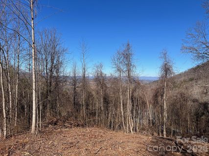 99999 Farm Cove Lane sold home in Blue Mist Farms, Leicester, NC