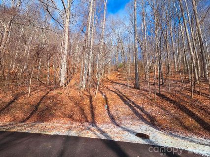 Homes in Mountain Watch, Waynesville