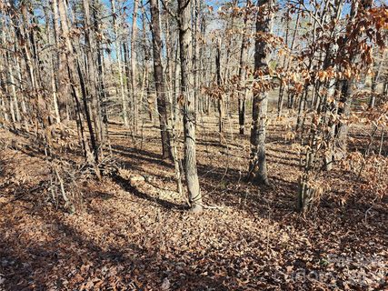 0000 Forest Ridge Road sold home in Vista At The Riverbank, Tryon, NC