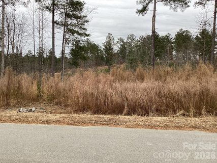 2146 Pikes Peak Ridge active lot in Lakeside Reserve, Connelly Springs, NC