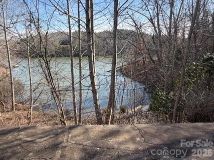 37 Peninsula Drive pending home in Lake Adger, Mill Spring, NC