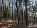 1291 Scenic Vista Drive sold home in Nebo, SC
