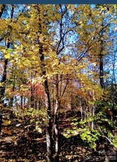 0000 Potter Road active land listing in Homeplace, Waxhaw, NC