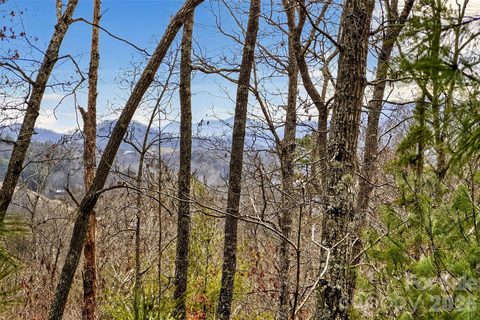 149 Turkey Trot Trail active lot in French Broad Crossing, Marshall, NC