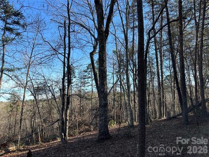 00 Hawkins Lane sold lot in Land Of Lakes, Mill Spring, NC
