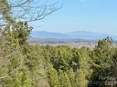 338 Grandview Peaks Drive sold home in Nebo, SC